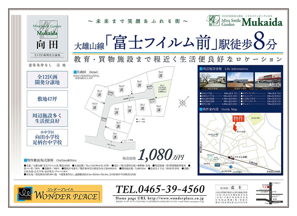 向田